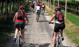Bike Trekking Garda - Giro dei Vigneti