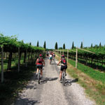 Bike Trekking Garda - Giro dei Vigneti