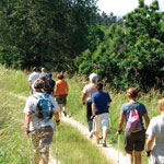 Bike Trekking Garda - Le Colle