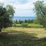 Bike Trekking Garda - Panorama dai Pignoi