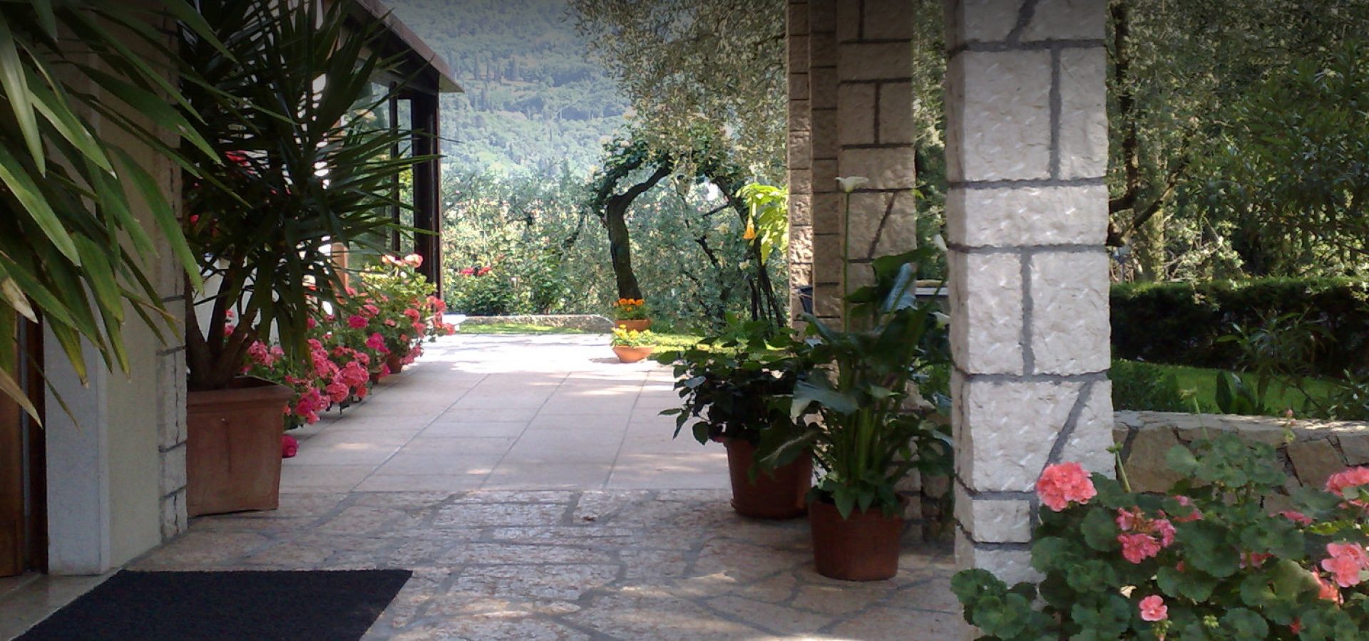 hotel-degli-olivi-portico